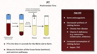 Hemostasis Lesson 4  Tests INR PTT platelets fibrinogen Ddimer [upl. by Ornas2]