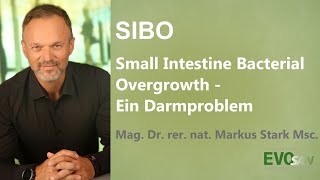 SIBO  Small Intestine Bacterial Overgrowth  ein Darmproblem Dr rer nat Markus Stark [upl. by Annel]