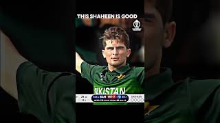 Where is SHAHEEN SHAH AFRIDI Fans [upl. by Ecyak]