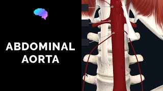 Abdominal Aorta Anatomy Overview 3D Anatomy Tutorial  UKMLA  CPSA [upl. by Amye]