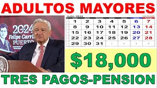 Nuevas Fechas de Pago 2024 💥🎉PENSION BIENESTAR Y PERSONAS CON DISCAPACIDAD 💲 Tres pagos JULSEP NOV [upl. by Kinch]