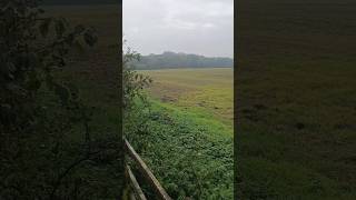 Battle of Bosworth Fields Leicestershire [upl. by Naujak]