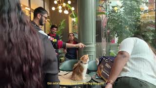 Pet Fed Pre Kitty Party Gurgaon [upl. by Arba]