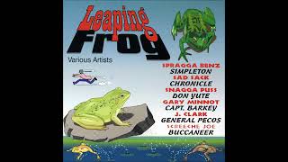 Leaping Frog Riddim  Instrumental Version 1994 [upl. by Stuppy]