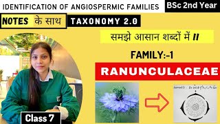 Ranunculaceae Family 🏵️  Floral diagram and formulas  Taxonomy  Economic importance [upl. by Roinuj]