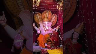 Pepal bale ganpati sagar mp📍 the vlogger mp15 ganpati lordganesha thevloggermp15 [upl. by Proudfoot]