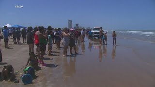 Multiple people hurt in shark attack on South Padre Island [upl. by Leaper220]