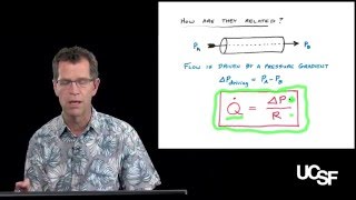 David Morgan PhD The Cardiac Cycle Part 1 Physical Principles [upl. by Uni]