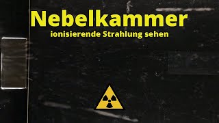 Nebelkammer  Praktikum Nuklearchemie [upl. by Esej548]