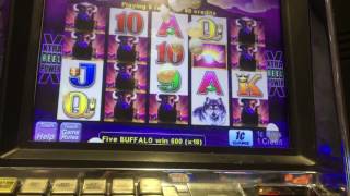 Buffalo Slot Machine Wins at Chumash Casino amp Resort [upl. by Adim855]