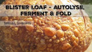 Blister Loaf Sourdough  Autolyse Ferment and Fold 2 [upl. by Magdau64]