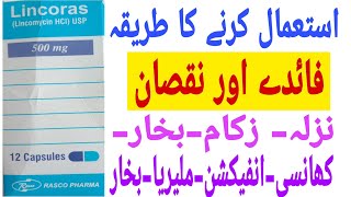 Lincoras capsule used Benefit and said affect lincomycin capsule uses in urdu and Hindi [upl. by Cindie]