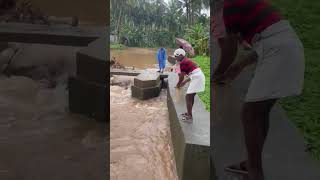 biggest catch😄😄😁 fishing fisherman viralvideo [upl. by Prisca]