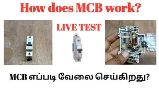 How does MCB work Practical Explanation Tamil  Tamil Electrical Info [upl. by Steady957]