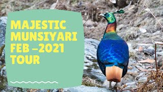 Munsiyari Birding Tour [upl. by Xever]