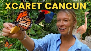 XCARET PARK CANCUN Full Review and Guide Mexicos Disneyland [upl. by Ola]