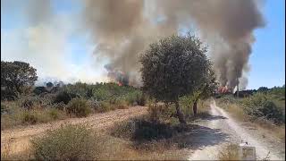 El incendio de Castrillo de los Polvazares alcanza el nivel 2 y obliga a desalojar Piedralba y Oteru [upl. by Beryl]