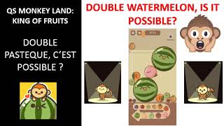 QS MONKEY LAND  KING OF FRUITS DOUBLE PASTEQUE C’EST POSSIBLE  DOUBLE WATERMELON IS IT POSSIBLE [upl. by Yarak]