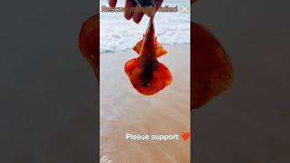 Rescue mission failed ❎ fishing fish trending beach dhanush [upl. by Nytsirc]