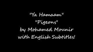 Ya Hamam  Pigeons by Mohamed Mounir with English Subtitles [upl. by Einaled]