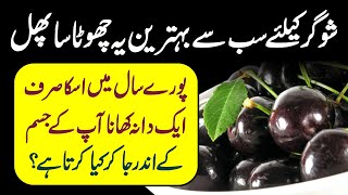 Black Plum Jamun Diabetes K Sath Kya Karta Hai Urdu Hindi  Urdu Lab [upl. by Edurtreg923]