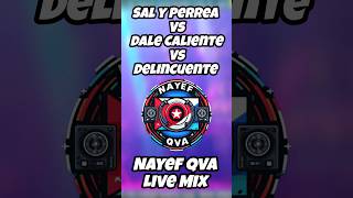 Sal y Perrea vs Dale Caliente vs Delincuente  SechJ BalvinDaddy Yankee ChimbalaNatti Natasha [upl. by Anaxor705]