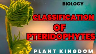 Classification of Pteridophytes  Biology [upl. by Erdnaxela353]