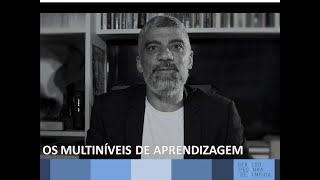 OS MULTINÍVEIS DE APRENDIZAGEM [upl. by Osmond]