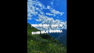 Muglan hera jadai xu  nepali song lyrics [upl. by Nivan888]