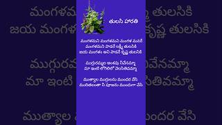 తులసీ హారతిThulasi SongShorts [upl. by Bergeron]