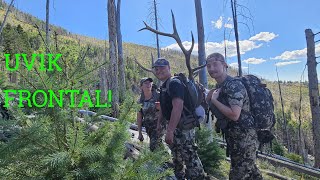 Arizona elk hunt Bull down elkhunting hunting elk frontal [upl. by Rihaz]