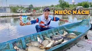 ĐÁNH LỬNG SĂN CẢ BẦY CHÉP CỰC KHỎE  VIETNAM FISHING TV [upl. by Eliak741]