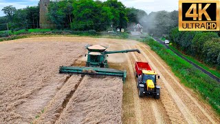 4K NEWEST 2024 John Deere Harvesting Wheat JCB Massey Ferguson Tractor [upl. by Wein516]