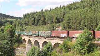 Train de bois Langeac  Tarascon 2 août 2023 [upl. by Enerehs723]