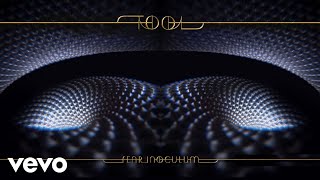 TOOL  Fear Inoculum Audio [upl. by Sutsuj]