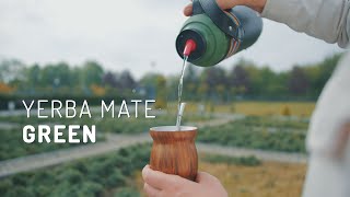 Yerba mate green  dlaczego warto zmieszać dwie yerby  Czajnikowypl [upl. by Mack308]