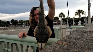 Downtown Saint Augustine Fishing [upl. by Kral]