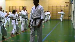 Seibukan Karate Seminar in Finland 2004 Sensei Jamal Measara [upl. by Redman916]