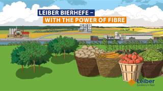 Leiber Bierhefe – With the power of fibre [upl. by Donna]