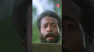 ഇത് മായയല്ല ജാലമല്ല 🤣🤣🤣🤣🤣🤣🤣🤣 films malayalam hits [upl. by Faludi434]