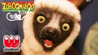 Zoboomafoo  Full Episode PlayTime  Animals For Kids [upl. by Gaspard]