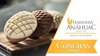 Harinera Anáhuac  Receta Conchas [upl. by Rellim546]