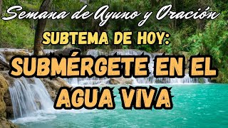 SUMERGETE EN EL AGUA VIVA  SEMANA DE AYUNO Y ORACION  IDMVE DALLAS TXTX [upl. by Llenahc550]