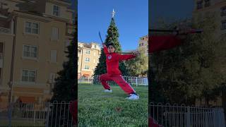 Double Broadsword during the Holidays🎅🎄⚔️ martialarts shorts [upl. by Even816]