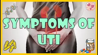 Urinary Tract Infection UTI Symptoms Causes amp Risk Factors [upl. by Shyamal]