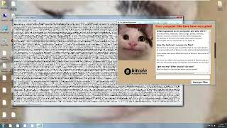 Mr Malware Ransomwareexe [upl. by Annaig284]