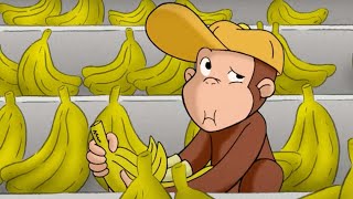 Curioso Come George 🐵 George ottiene un lavoro 🐵Cartoni per Bambini [upl. by Ixel]