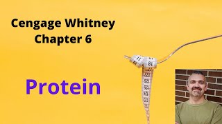 Cengage Whitney Nutrition Chapter 6 Lecture Video Protein [upl. by Niveb]