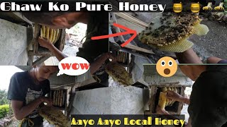 Ghaw Ghar Ko Pure Honey  village vlogs imkhalingvlogs [upl. by Socher]