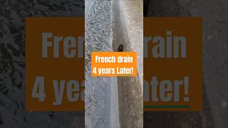 Gravity Fed French drain years later In Action frenchdrain [upl. by Dalenna]